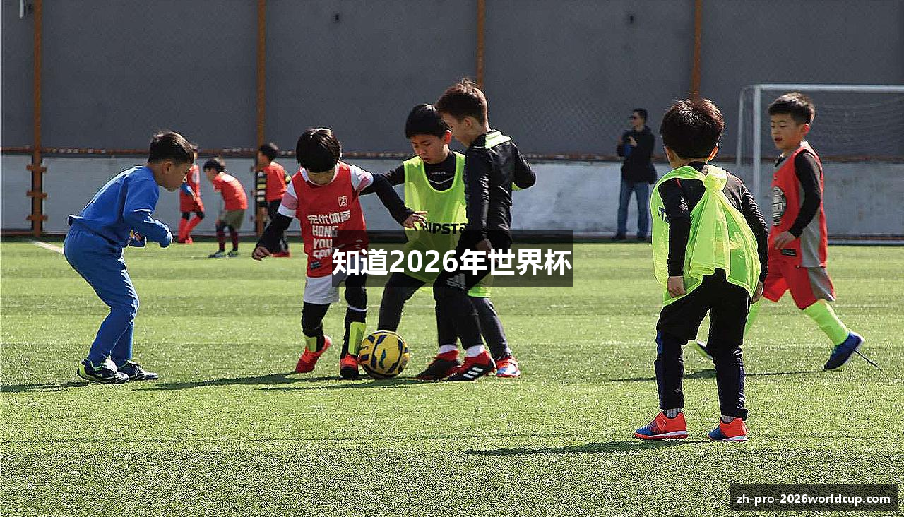 知道2026年世界杯